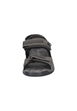 Harald Asphalt