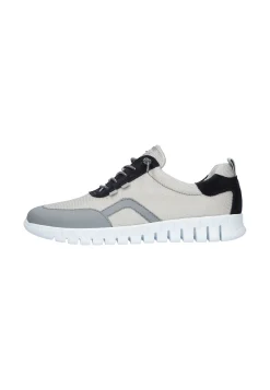 H-Baldo Grey Notte